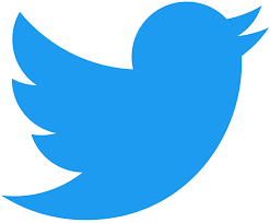 Sure, it's called X now, buit the old bird logo symbolizes freedom of expression and communication.