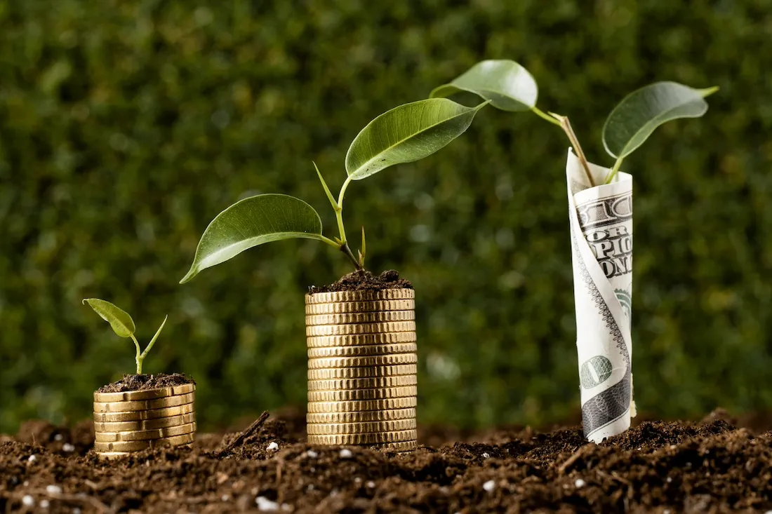 The Complete Guide to Understanding the Rounds of Venture Capital Funding (2024)