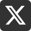 X Icon