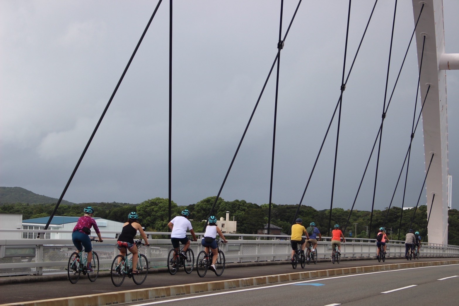 Insert：アクティビティ型ツアーのイメージ