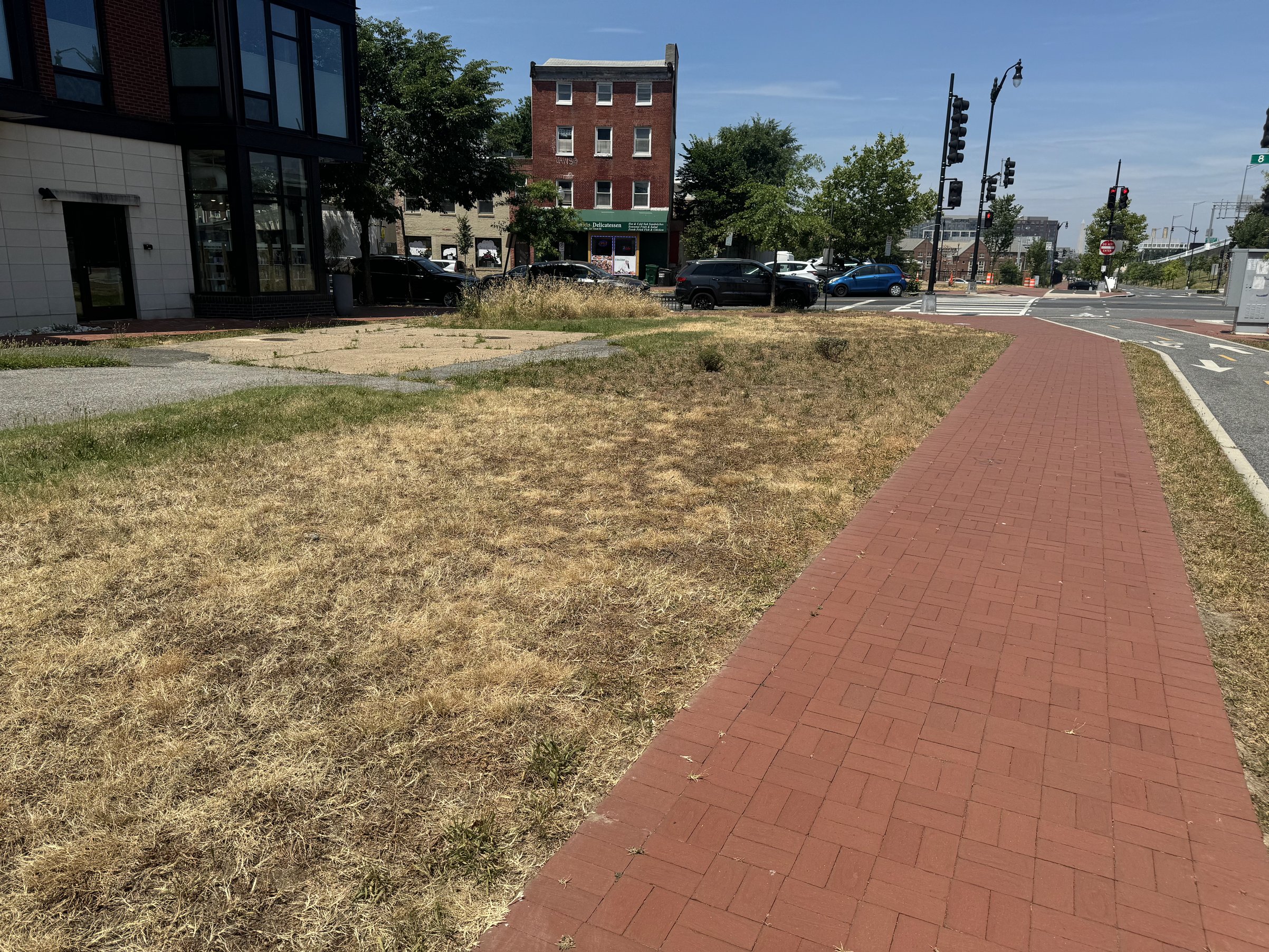 The Emblem Plaza lot in 2022, with patchy grass and an old concrete pad