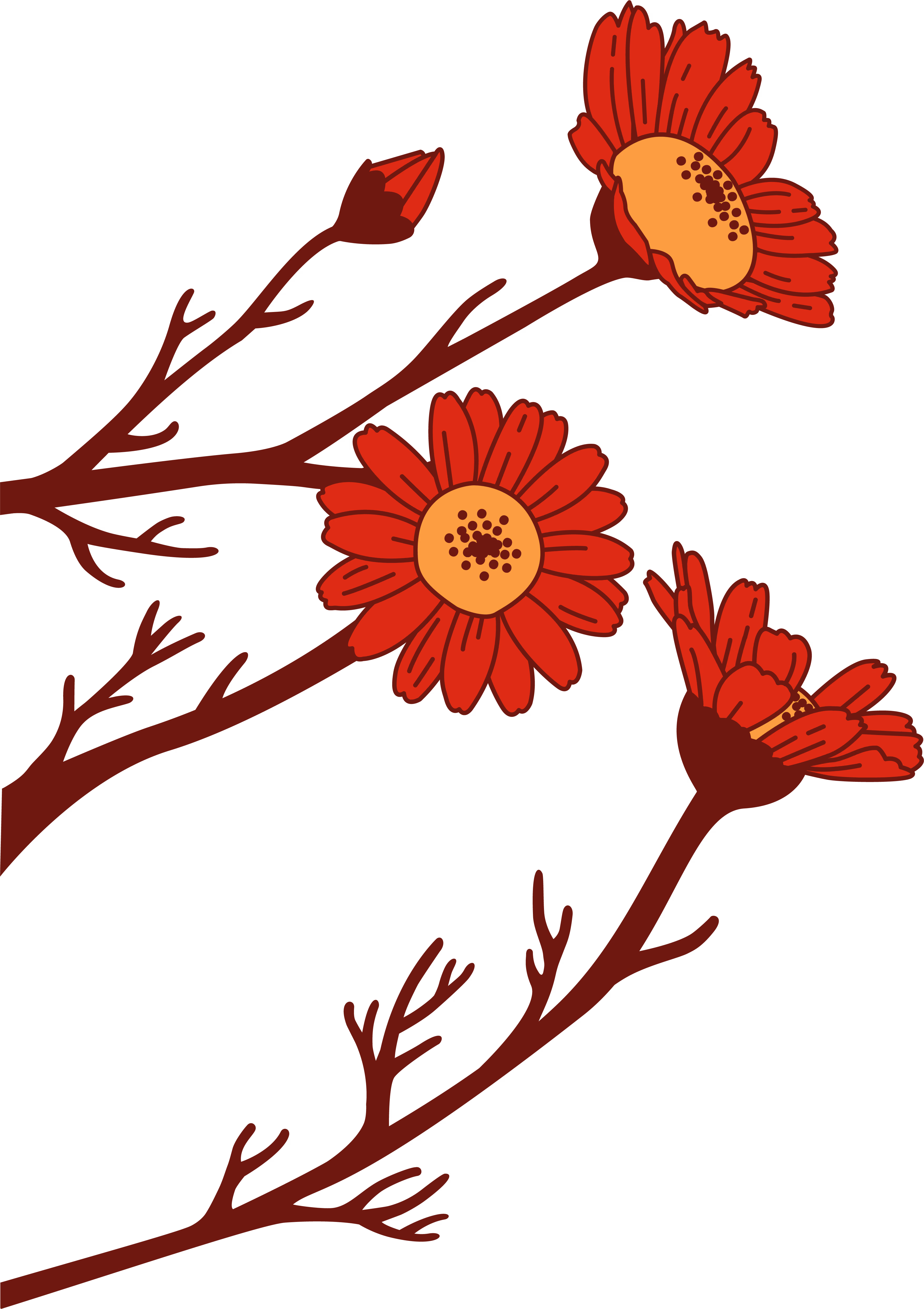 Illustration of three red flowers with yellow centers and brown speckles growing on brown branches with small buds.