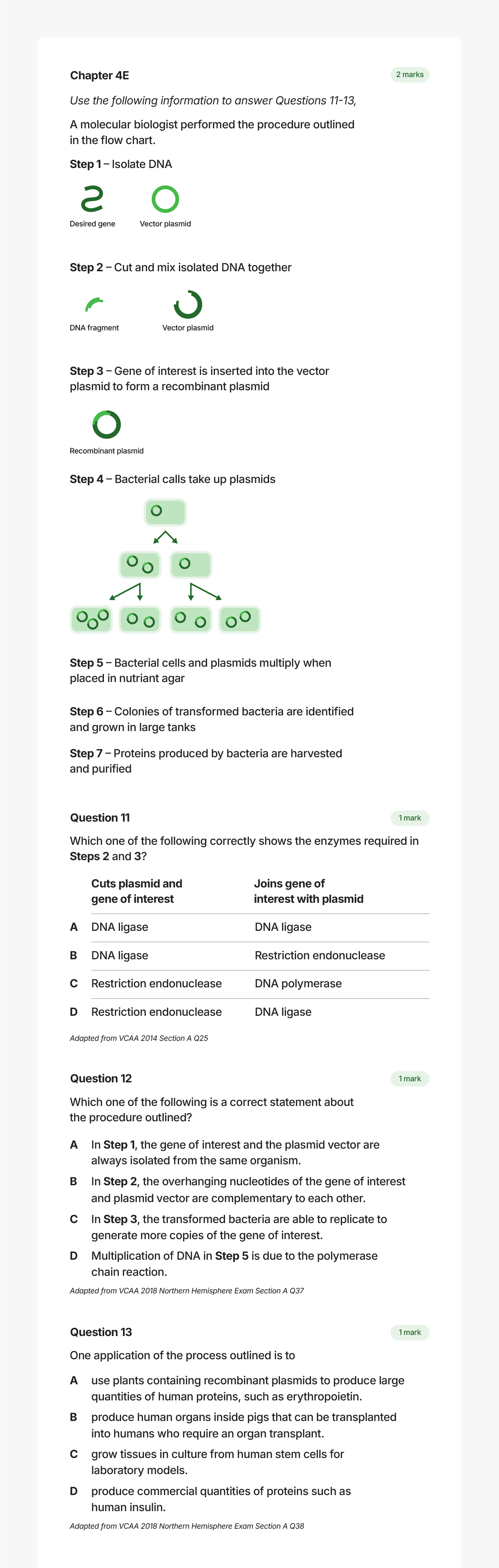 Jane Bunn Sample lesson snapshot