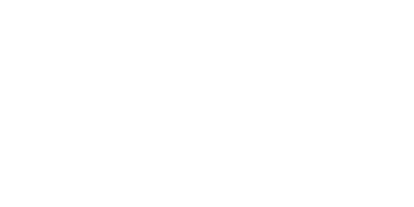 Право-300