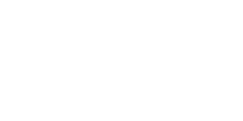 ITIL4 Direct, Plan, Improve