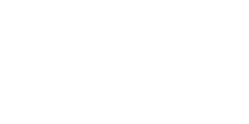 SAFe Product Owner / Product Manager