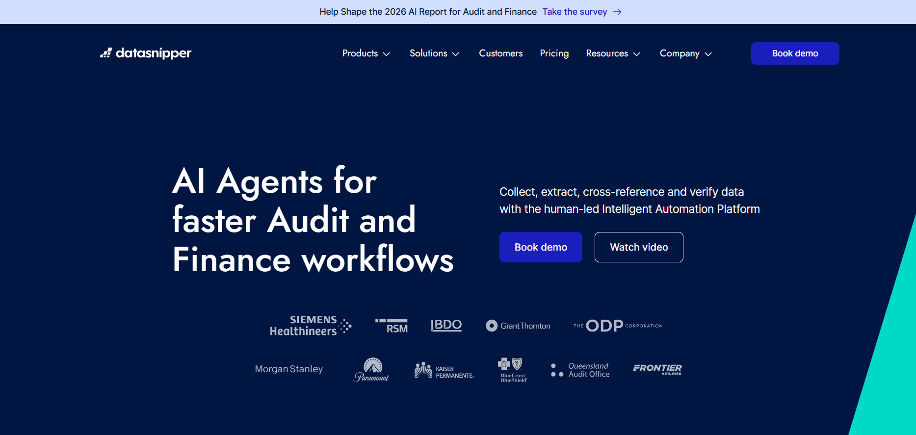 Image of DataSnipper - AI powered financial software