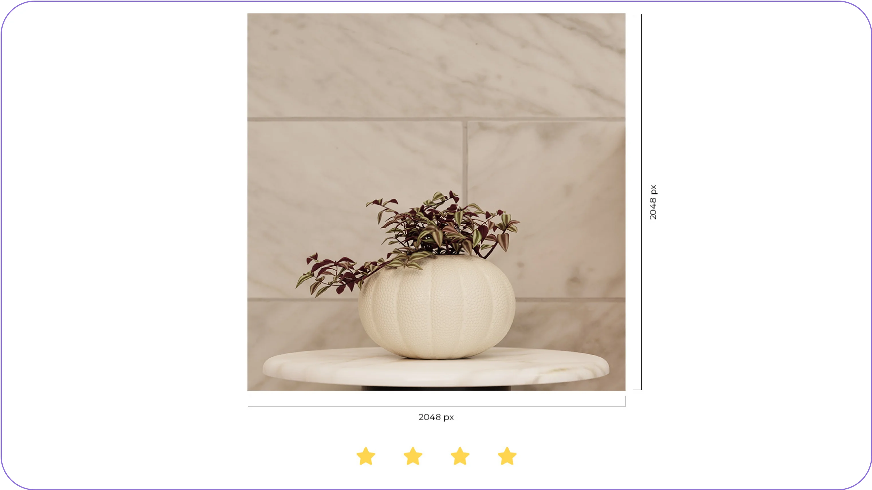 optimized images for shopify