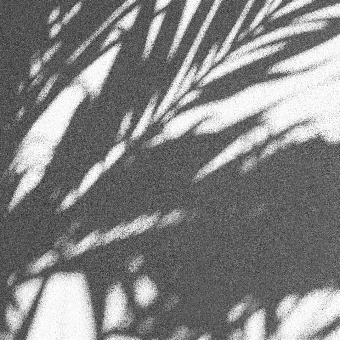 Stand in shade method for smartphone photography