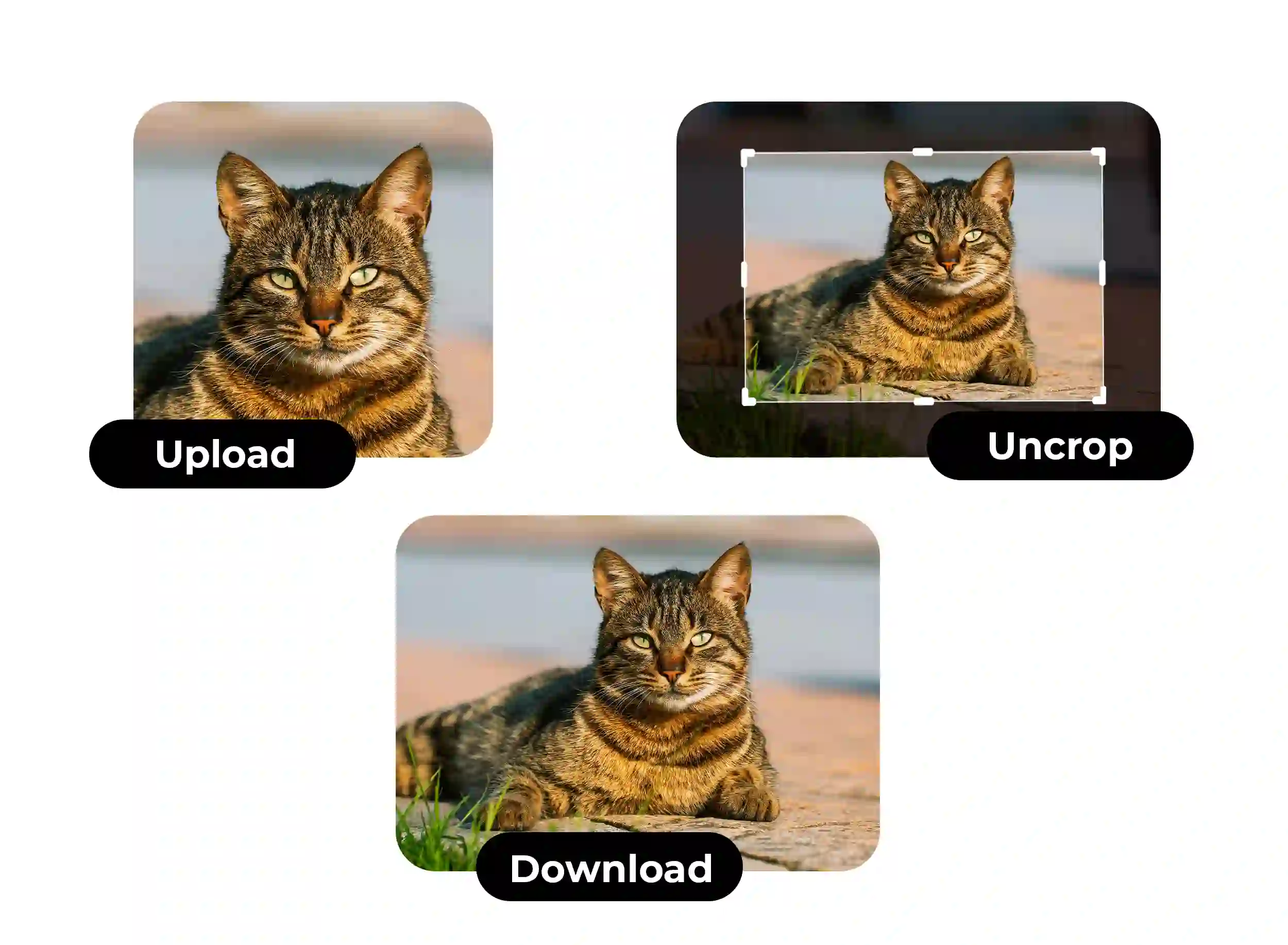 ai image extender