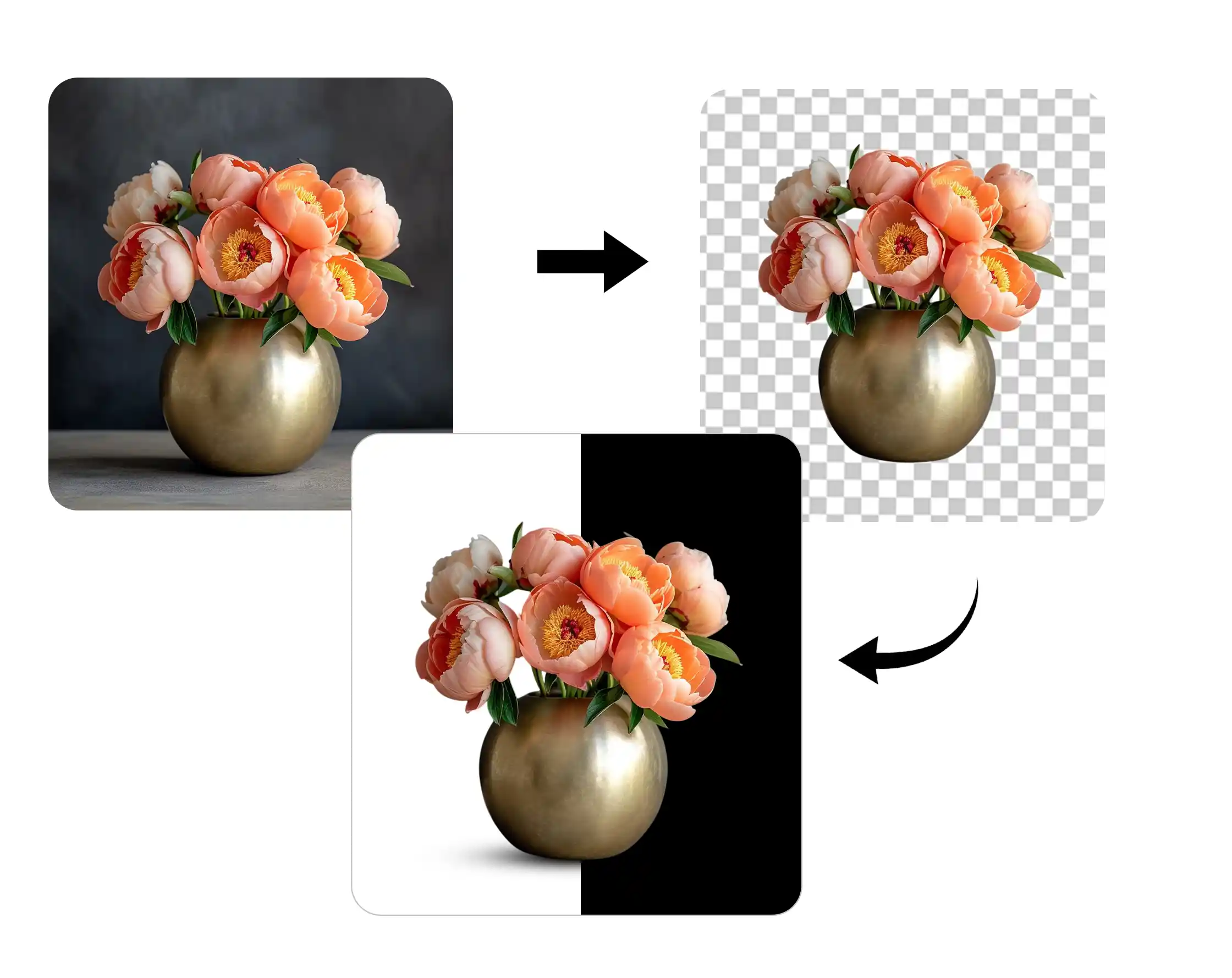 add white background to photo
