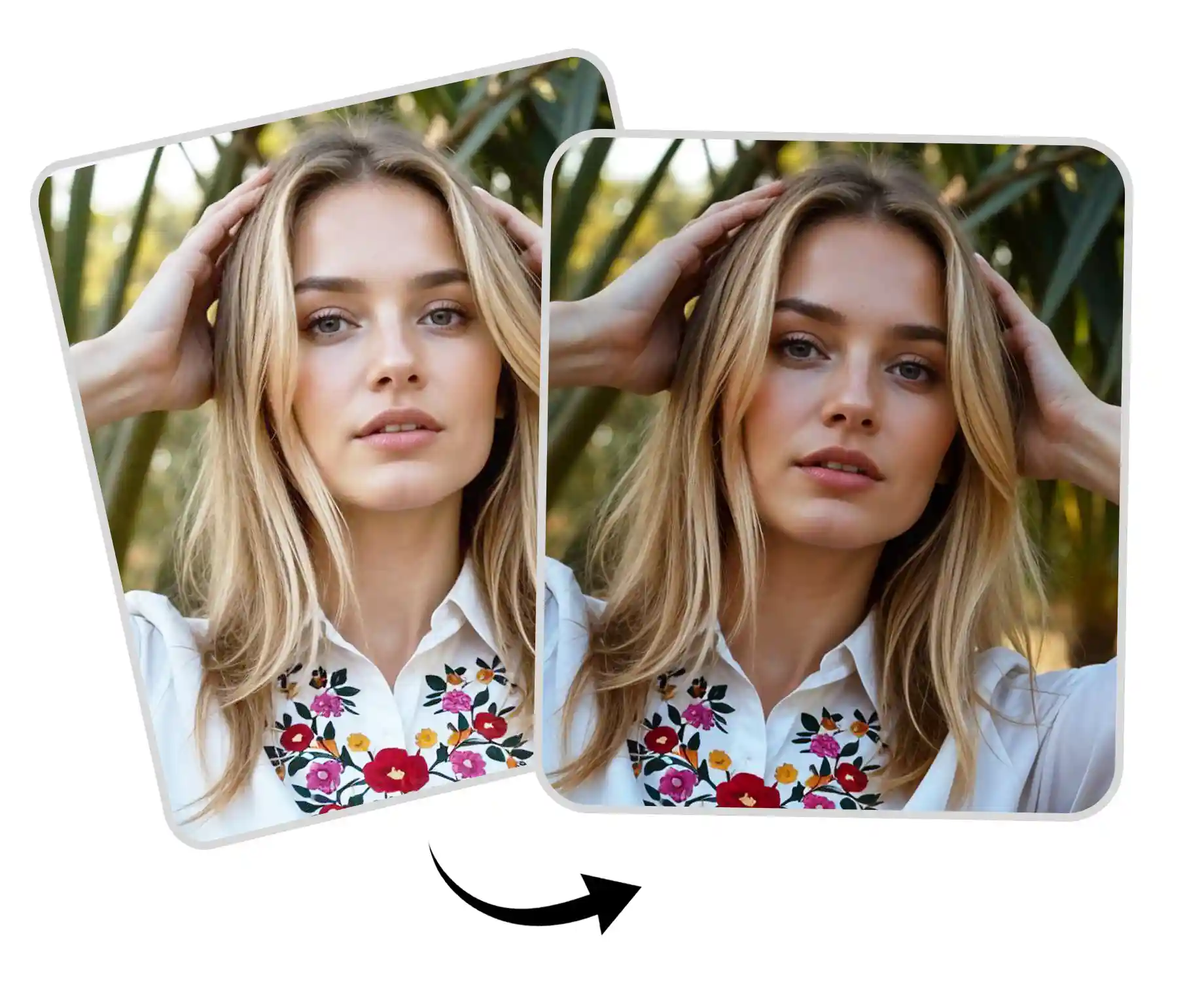 how to darken the background of a photo