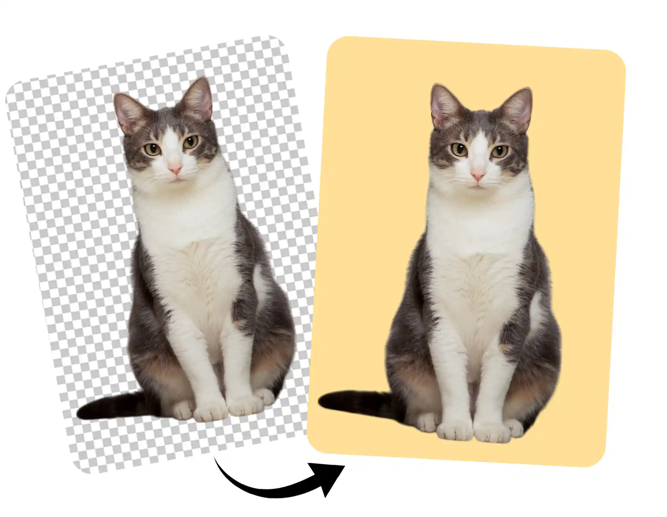 change color of png