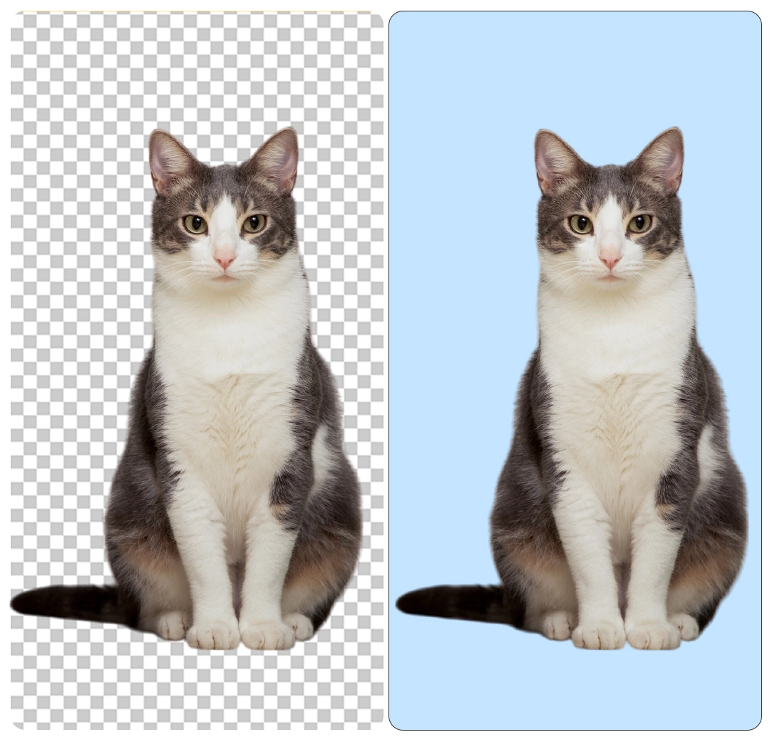 dark blue background