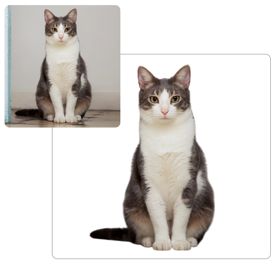 make background white