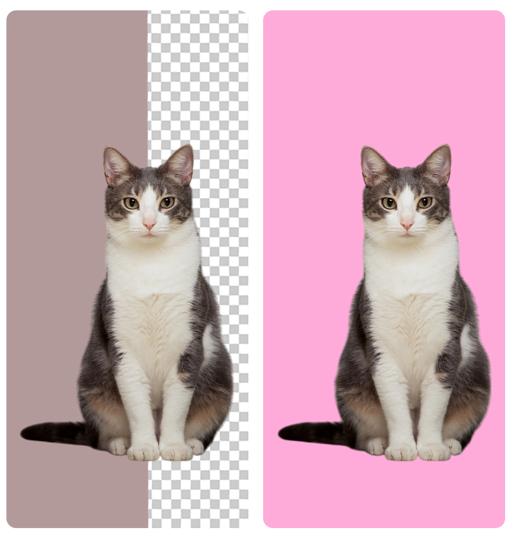 color remover from image