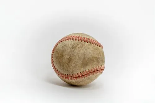 baseball ball for dogs - Pets Care Veterinary Clinic Webflow Template
