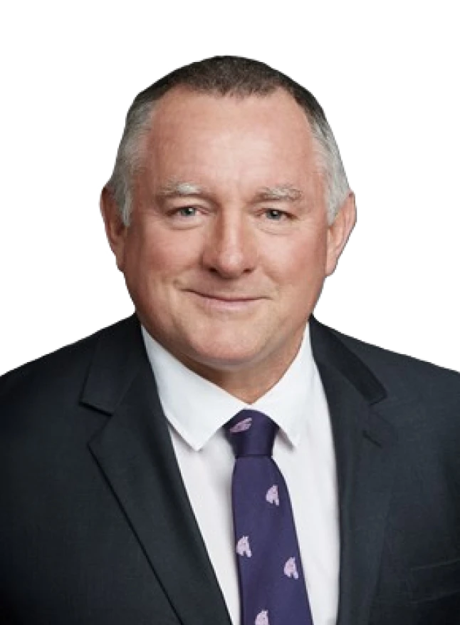 Hon Dr Steve Thomas MLC