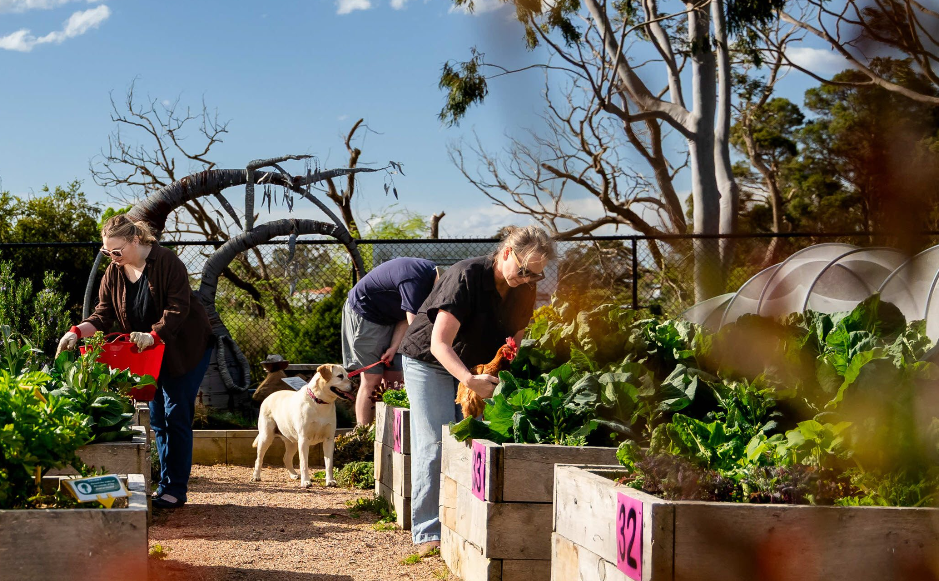2026 Australia Post Community Grants Program Now Open