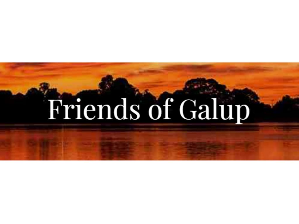 Local Workshop 6 Oct 2026:  How to protect wetlands from your own backyard