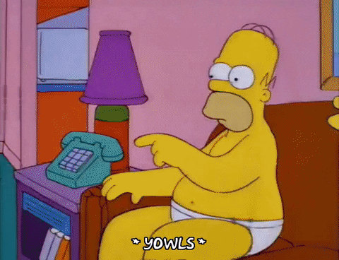 homer simpson and cat during heat wave