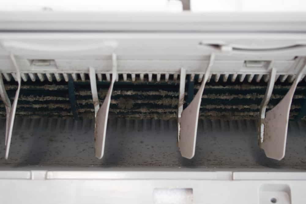 Air Con Smell - Mould