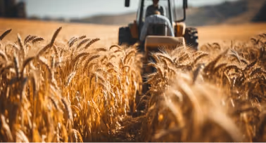 An image describing Agriculture from industries we serve section