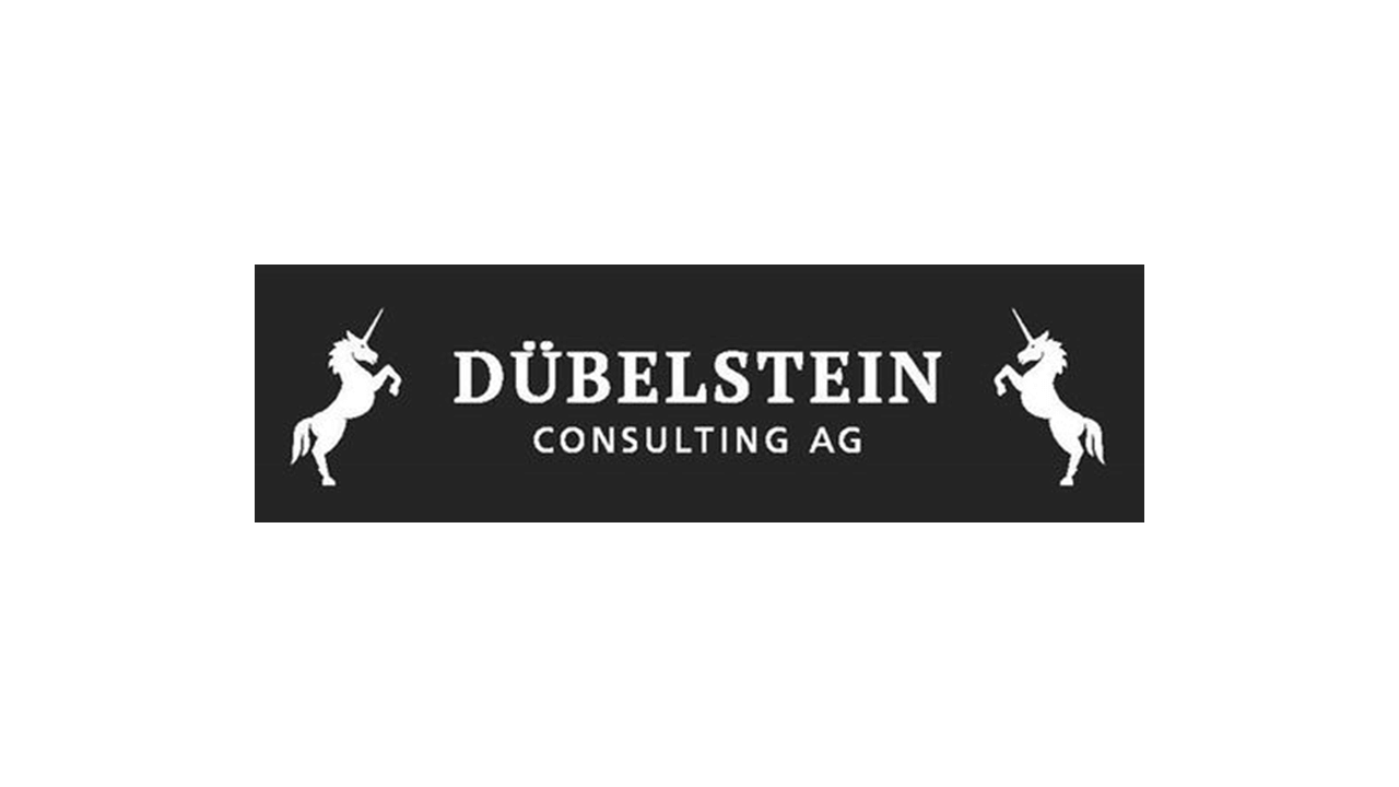 Dübelstein
