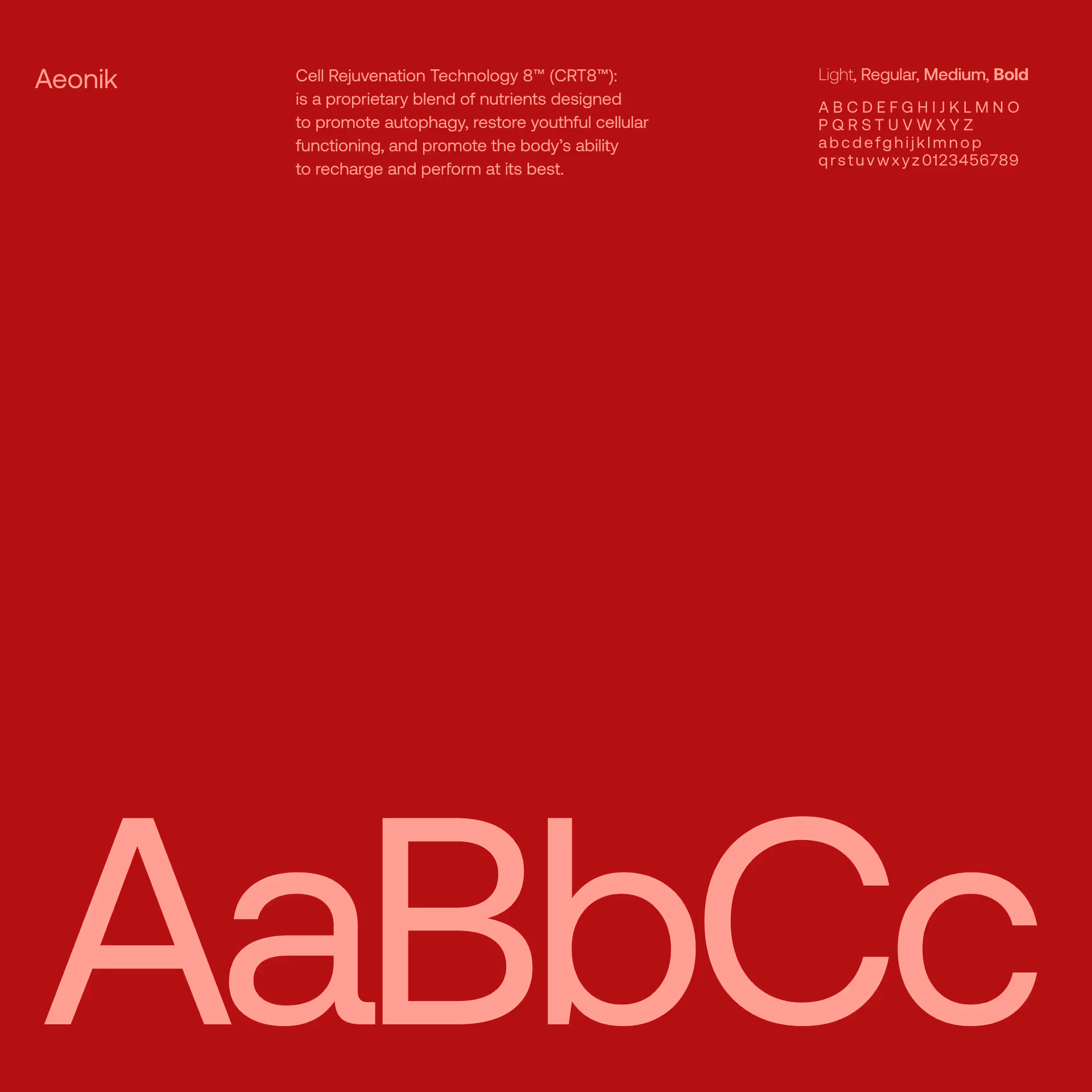 typography guidelines
