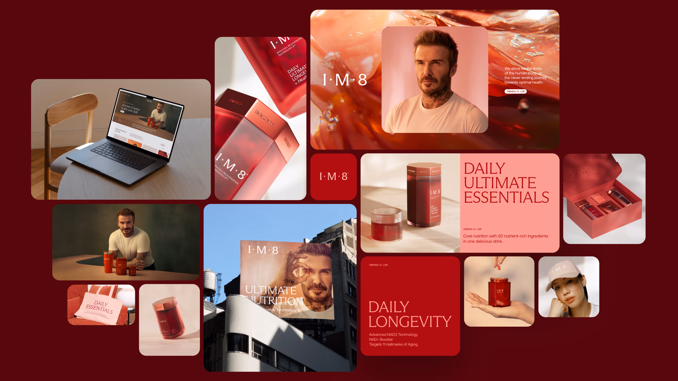 brand guidelines