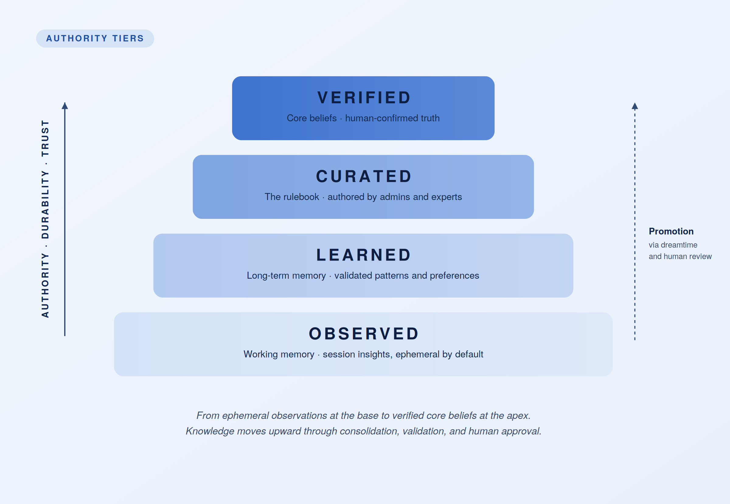 Neocortex authority tiers showing observed, learned, curated, and verified organizational knowledge.