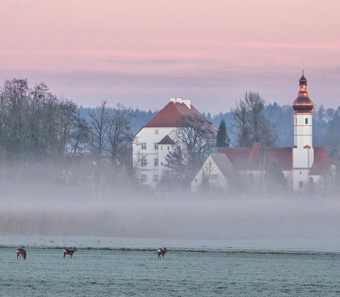 Wohnen Neben dem Schloss