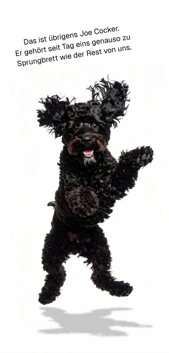 Foto von dem Büro Hund Joe