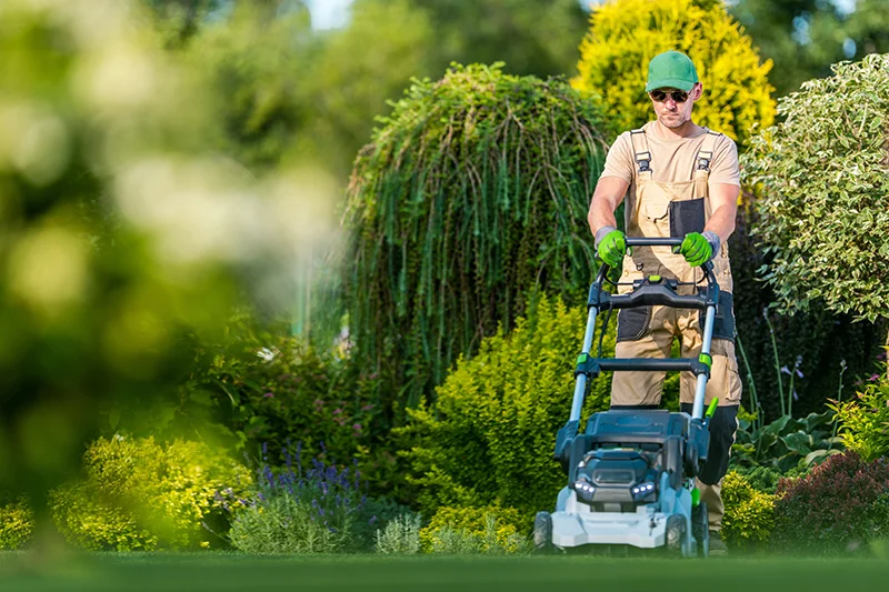 Worker in protective gloves and cap operates a lawnmower to maintain a garden lawn.