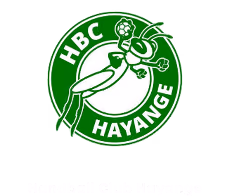 Logo Handball Club Hayange