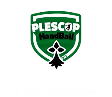 Logo ES Plescop Handball