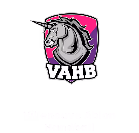 Logo Villeneuve Ablon Handball