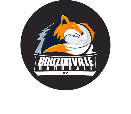 Logo ASPTT Nancy Handball