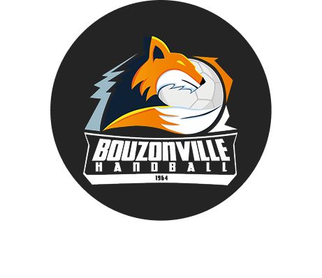 Logo ASPTT Nancy Handball