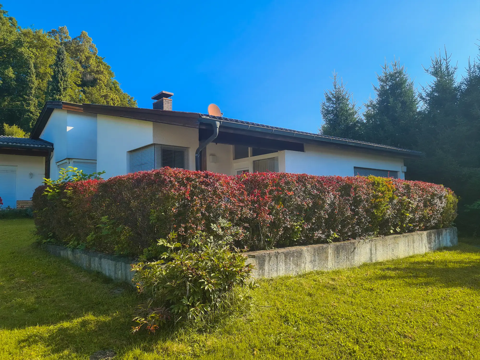 Grüner Garten – Kontaktbereich Motiv