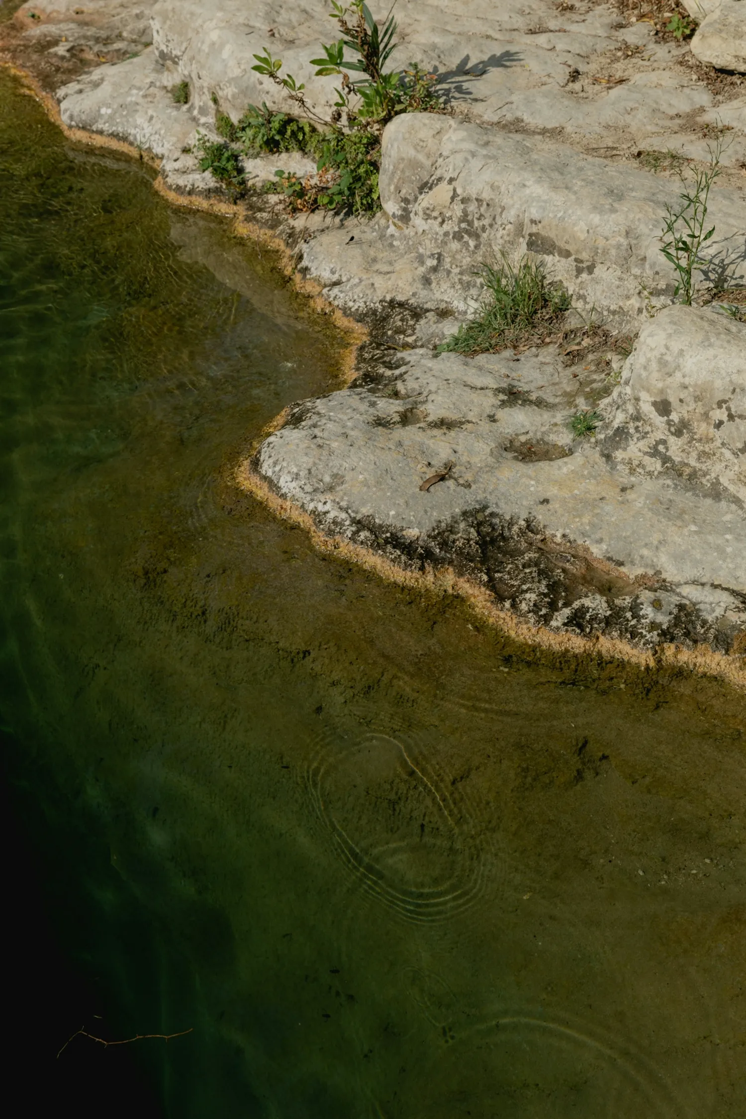 A lake with a rocky shore and a small patch of grass.