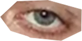 A photo of eye that means "See" word