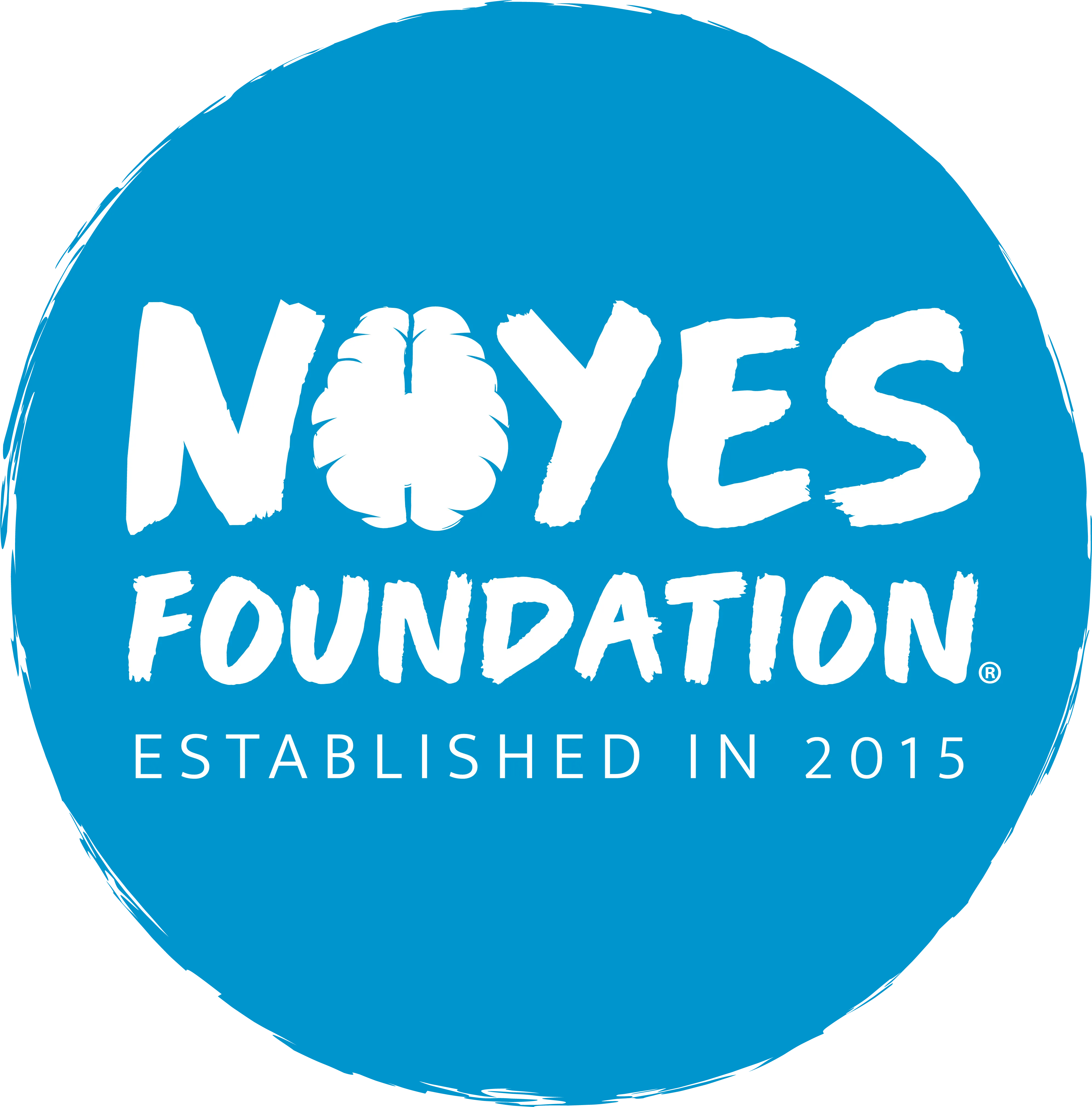 Logo Fundación Noyes