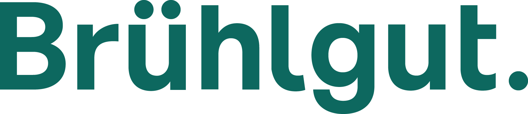 Logo Brühlgut Stiftung