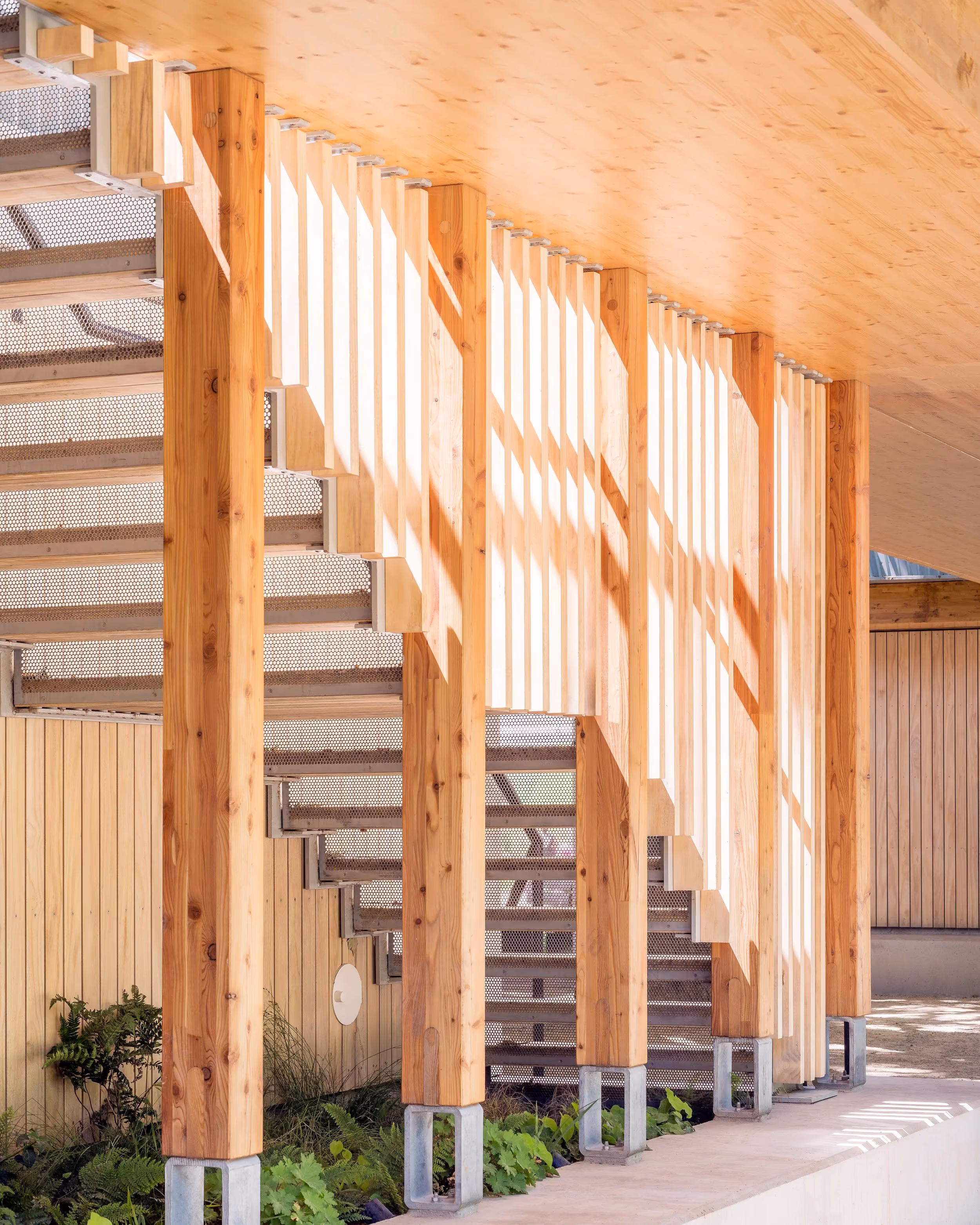 The Tree House featured in DETAIL magazine