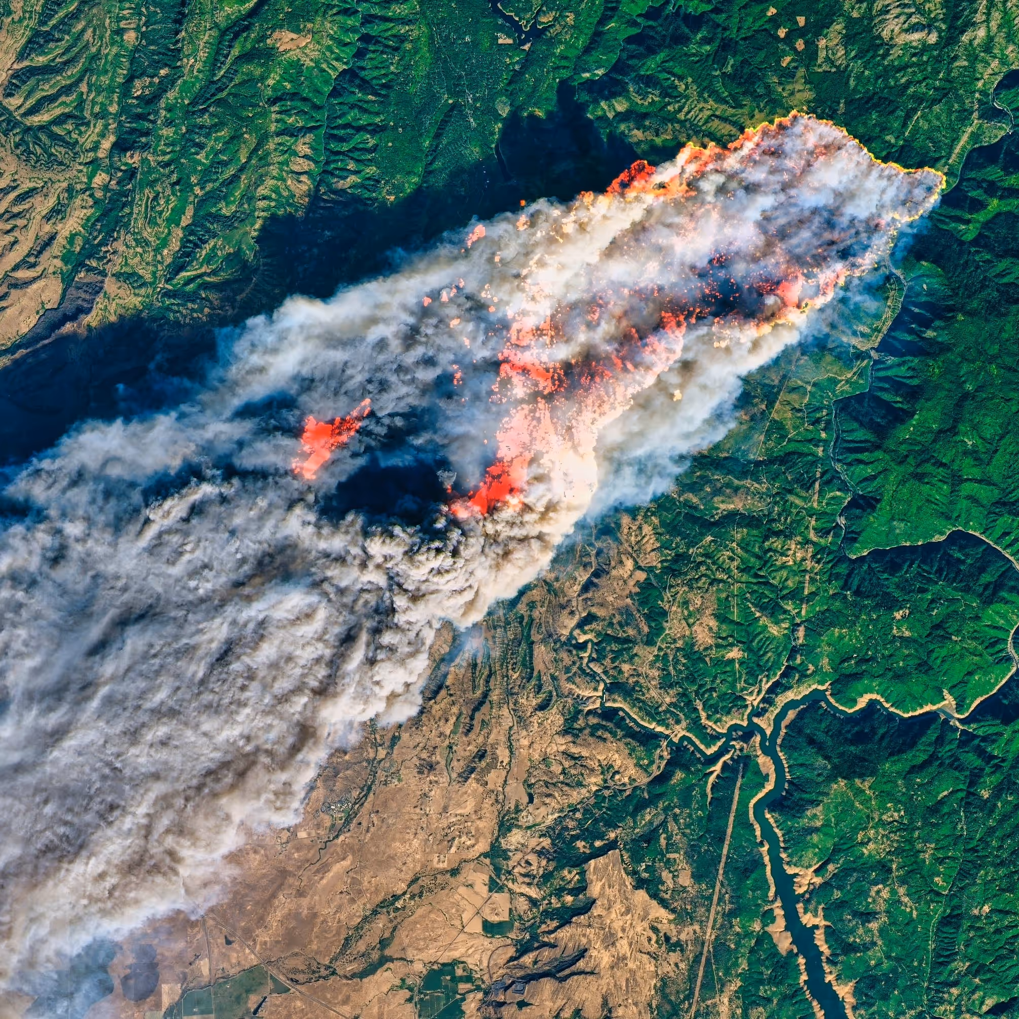 California Camp Fire