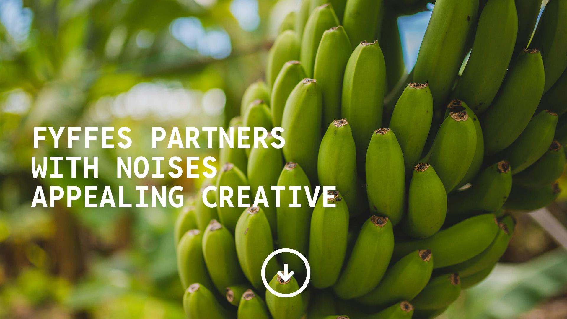 Trudi's Bananas signs with Noise Media Group for digital marketing