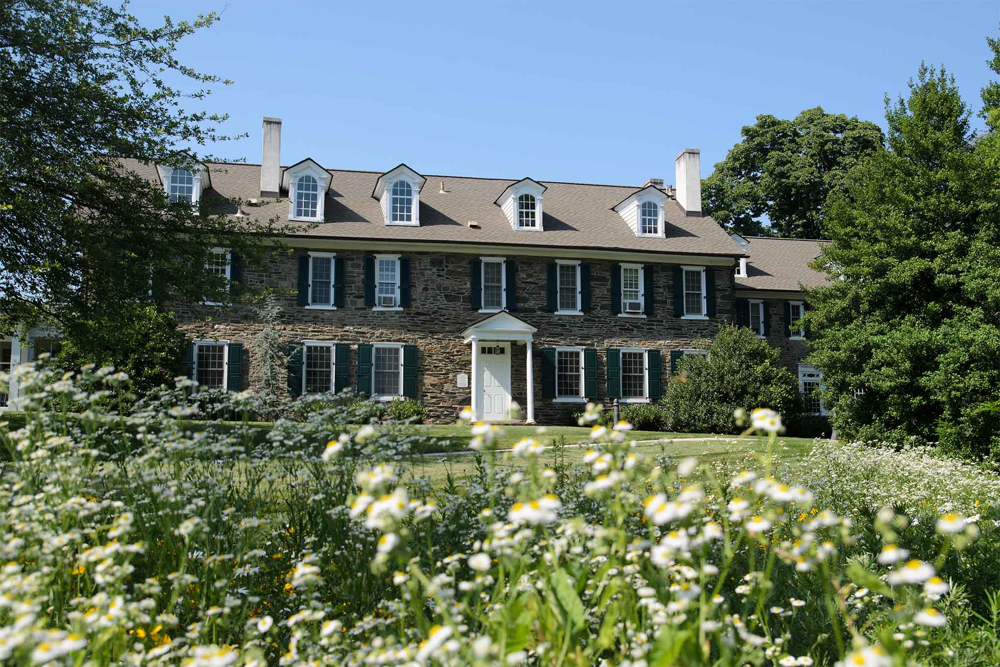 An image of a campus building surrounded by trees and sunflowers