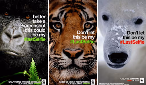 #Lastselfie campaign