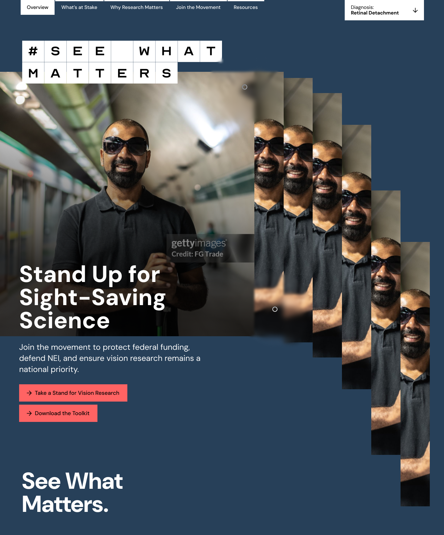 See What Matters - National Institute of Eye Research Microsite